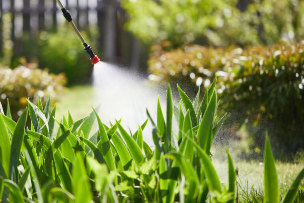 24/7 Emergency Fumigation Services experts in Thibodaux, LA