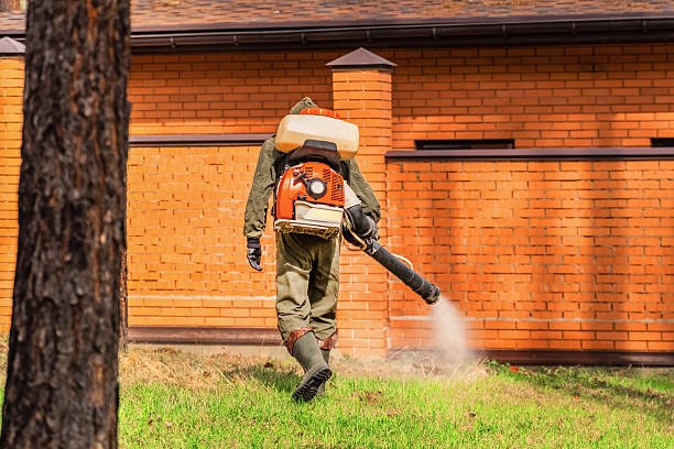 Trusted Cockroach Control service in Thibodaux, LA - Nex Pest Control